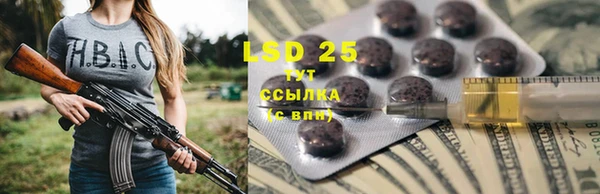 гашик Инсар