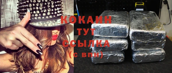 гашик Инсар