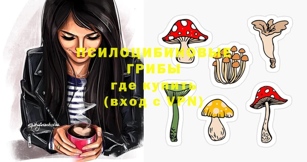 гашик Инсар