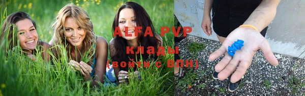 гашик Инсар