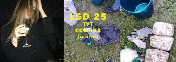гашик Инсар