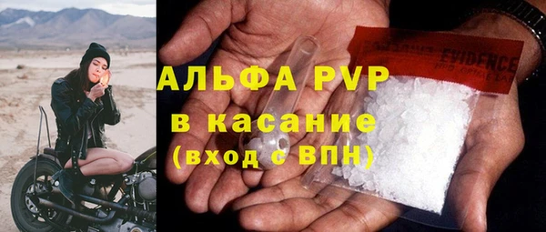 гашик Инсар
