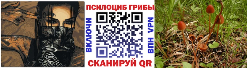 Галлюциногенные грибы GOLDEN TEACHER Артёмовский